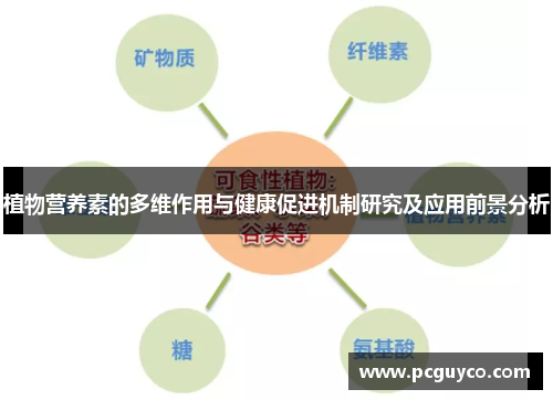 植物营养素的多维作用与健康促进机制研究及应用前景分析