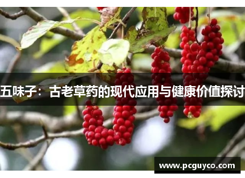 五味子：古老草药的现代应用与健康价值探讨