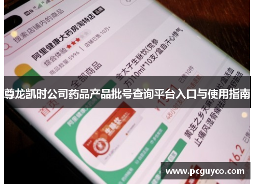 尊龙凯时公司药品产品批号查询平台入口与使用指南