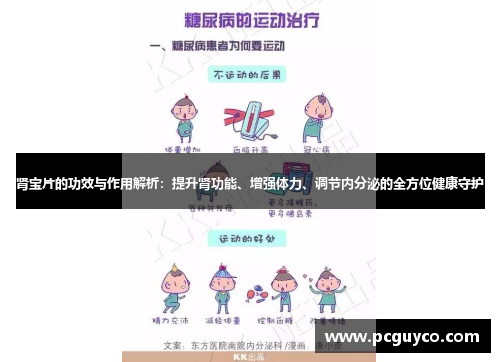 肾宝片的功效与作用解析：提升肾功能、增强体力、调节内分泌的全方位健康守护